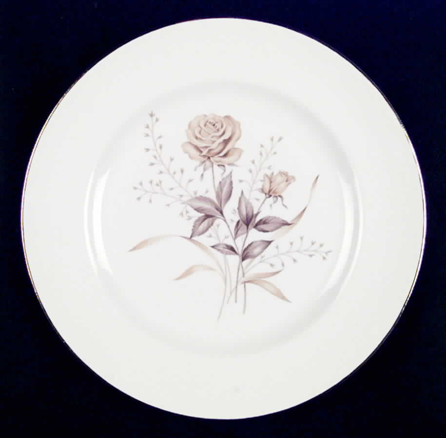 SAB55 Dinner Plate by Sabin-1