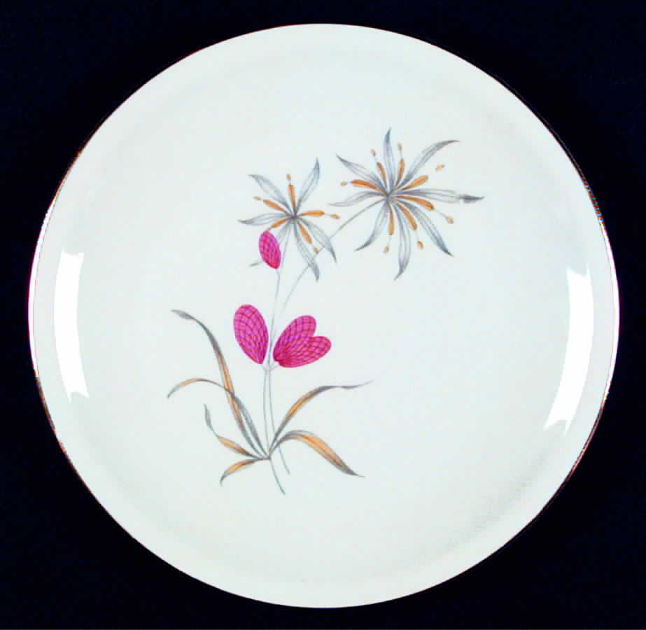 SCG21 Salad Plate by Schirnding-1