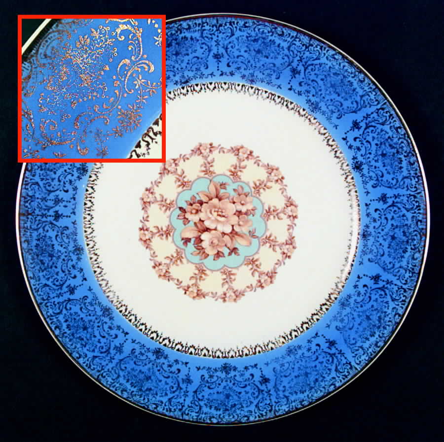 SLM184 Dinner Plate by Salem-1