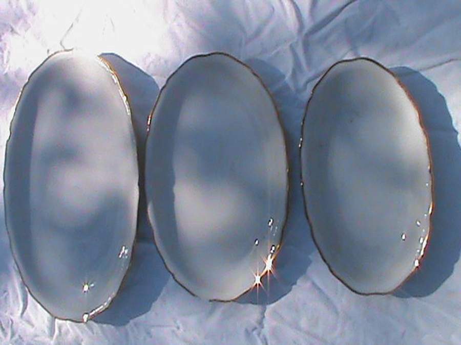 SLT185 11" Oval Serving Platter by Seltmann-1