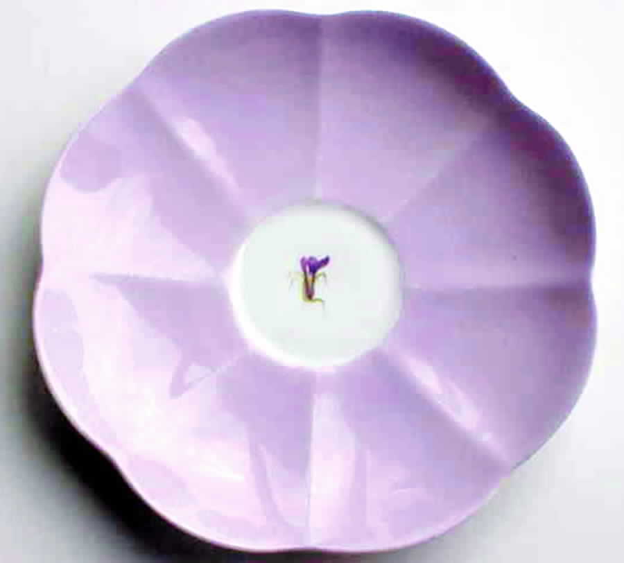 SHE24 Saucer by Shelley-1
