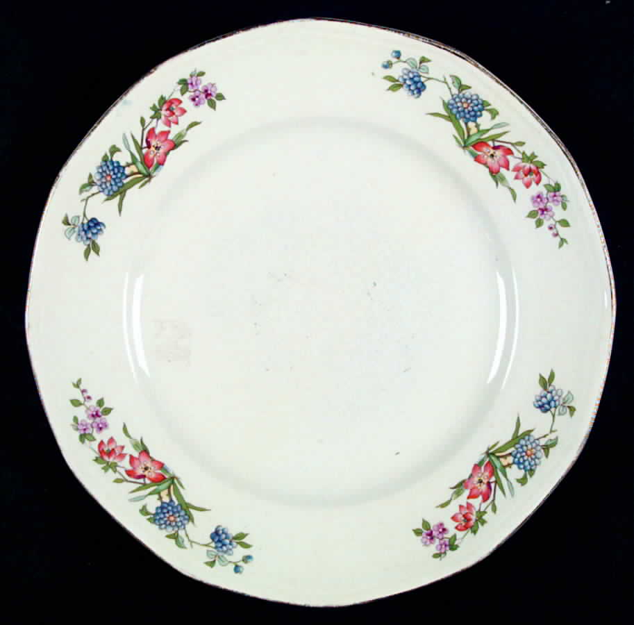 SEB55 Dinner Plate by Sebring Pottery-1