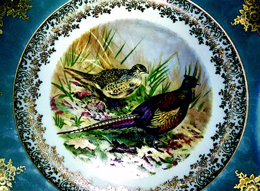 SBV1 Dinner Plate by STW (Bavaria)-1