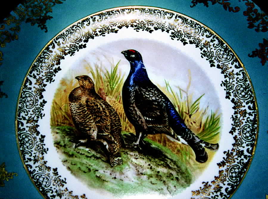 SBV1 Dinner Plate by STW (Bavaria)-1