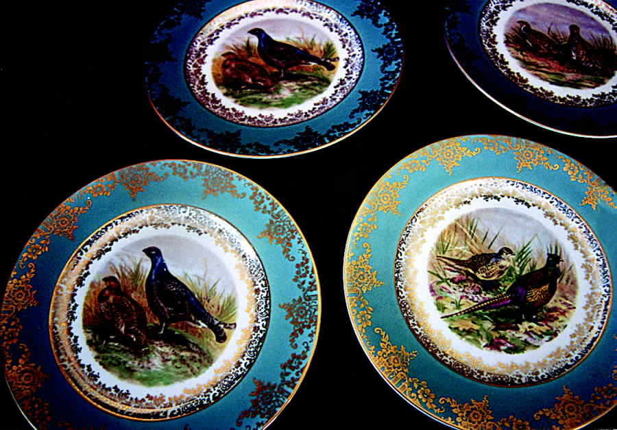 SBV1 Dinner Plate by STW (Bavaria)-1