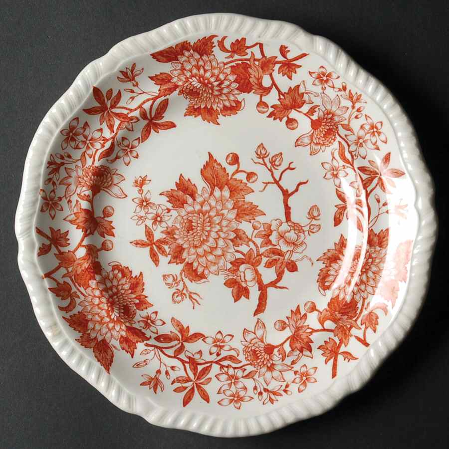 Aster Rust Salad Plate by Spode-1