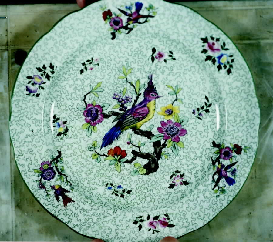 Camella Dinner Plate by Spode-1
