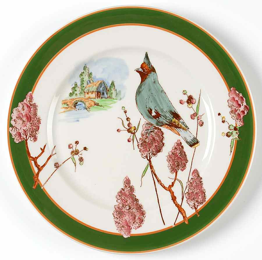Nature Study Birds Dinner Plate by Syracuse-1