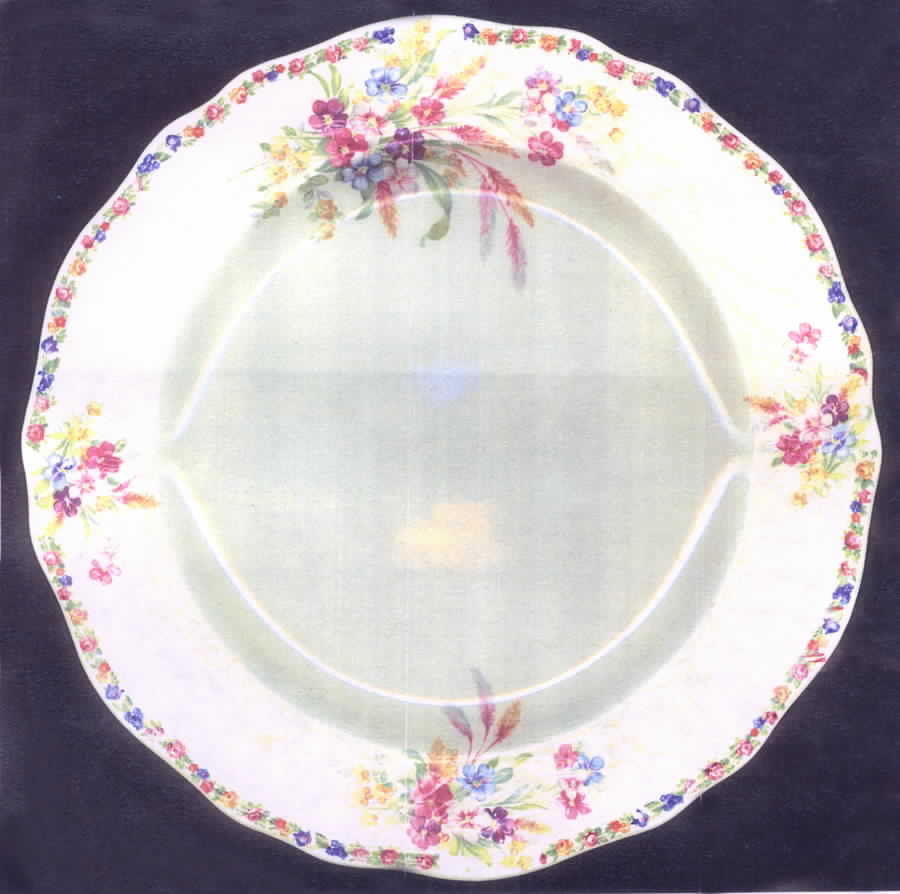 STB204 Dinner Plate by Steubenville-1