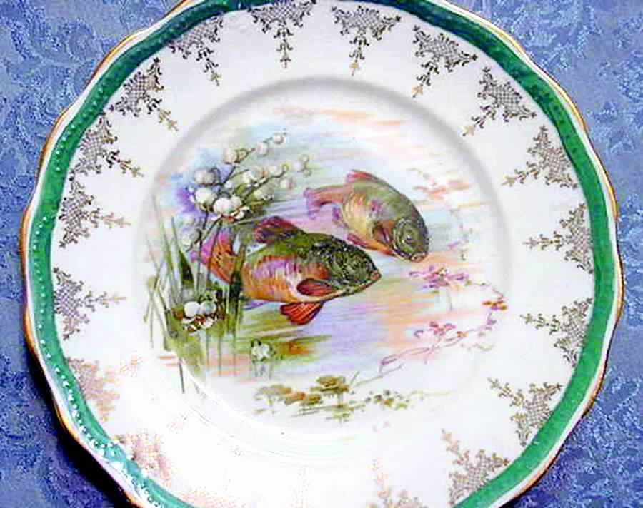 STR49 Dinner Plate by Sterling China (USA)-1