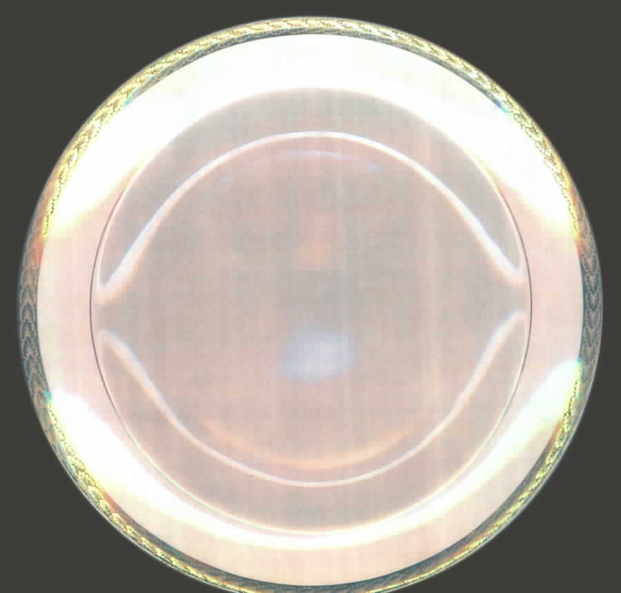 SEB58 Dinner Plate by Sebring Pottery-1