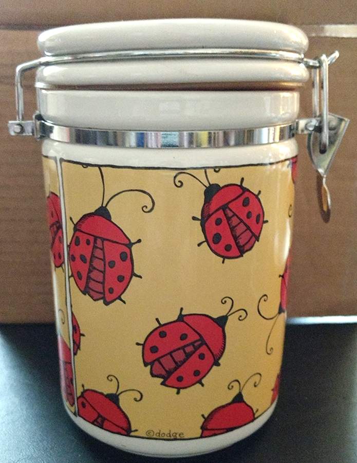 Bugz Large Canister with Hinged Lid by Signature-1