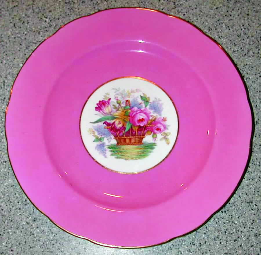 R9088 Dinner Plate by Spode-1