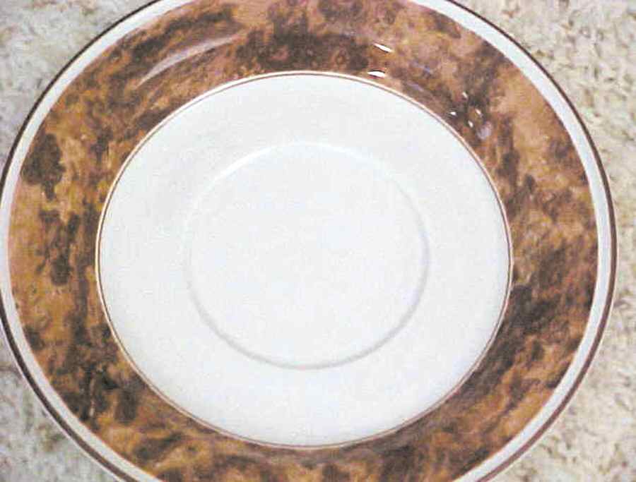 Terrazzo Tortoise Saucer by Sango-1