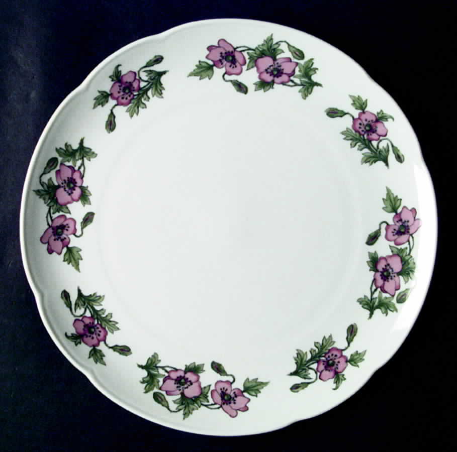 SLT195 Dinner Plate by Seltmann-1
