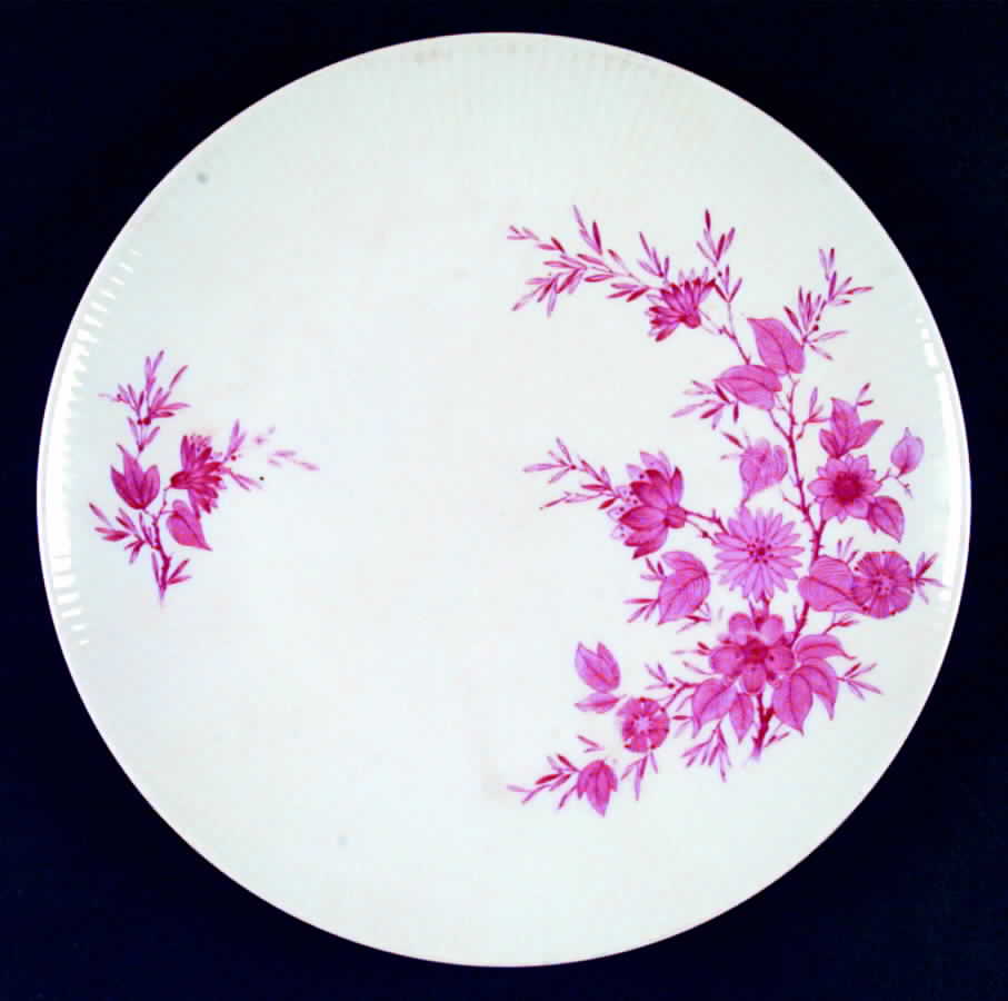 SLT199 Dinner Plate by Seltmann-1