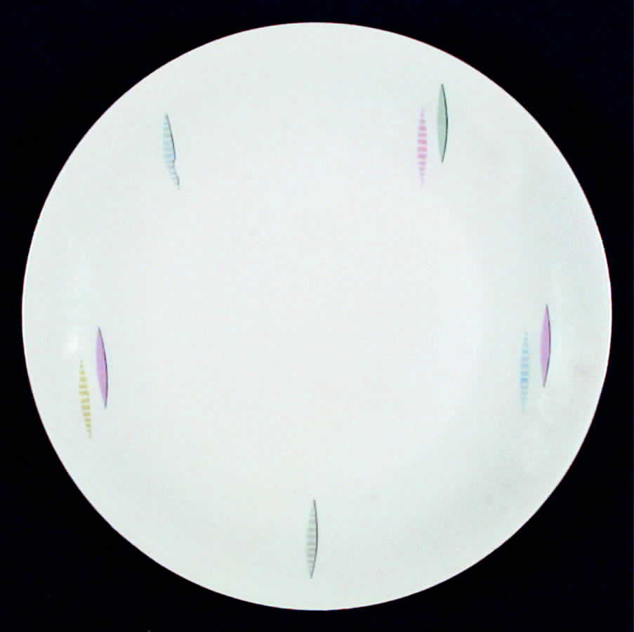 SLT200 Salad Plate by Seltmann-1