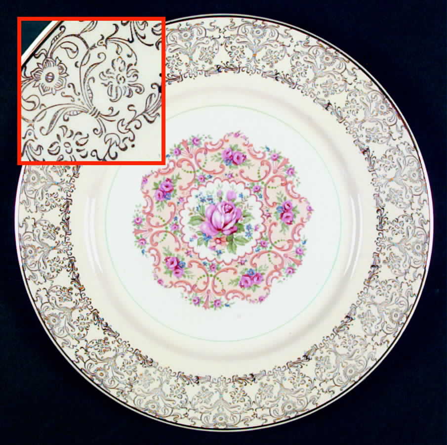 SLM194 Dinner Plate by Salem-1