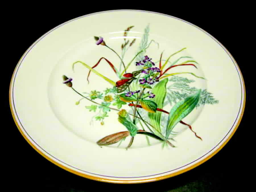 D9061 Dinner Plate by Spode-1