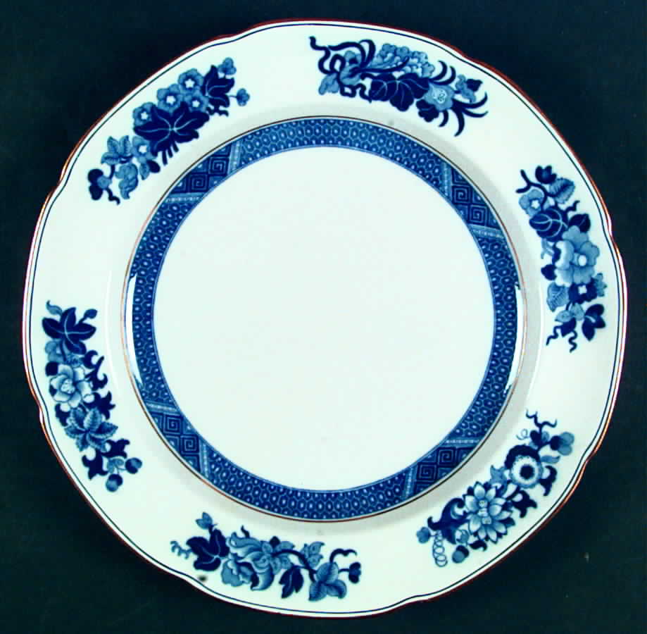Y1859 Dinner Plate by Spode-1