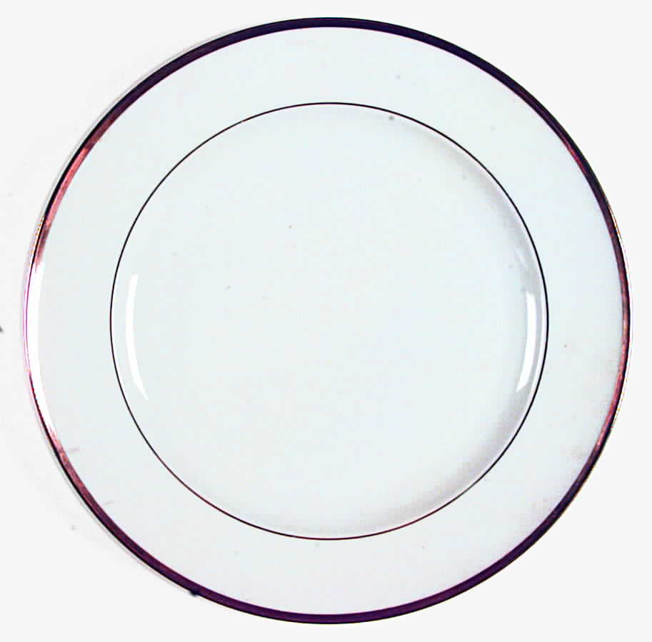 SLT206 Dinner Plate by Seltmann-1