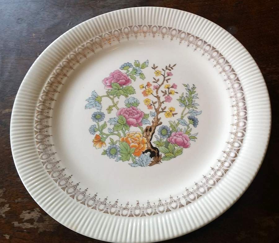 SLM197 Dinner Plate by Salem-1