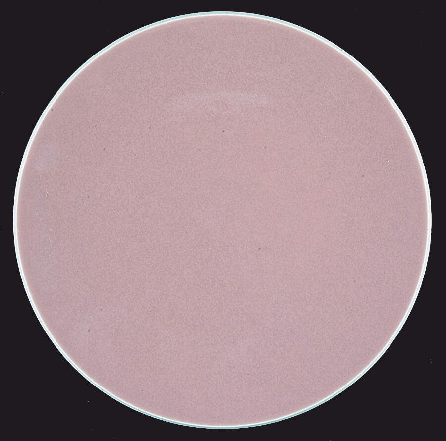 Colorstone Lilac (Textured) Salad Plate by Sasaki-1