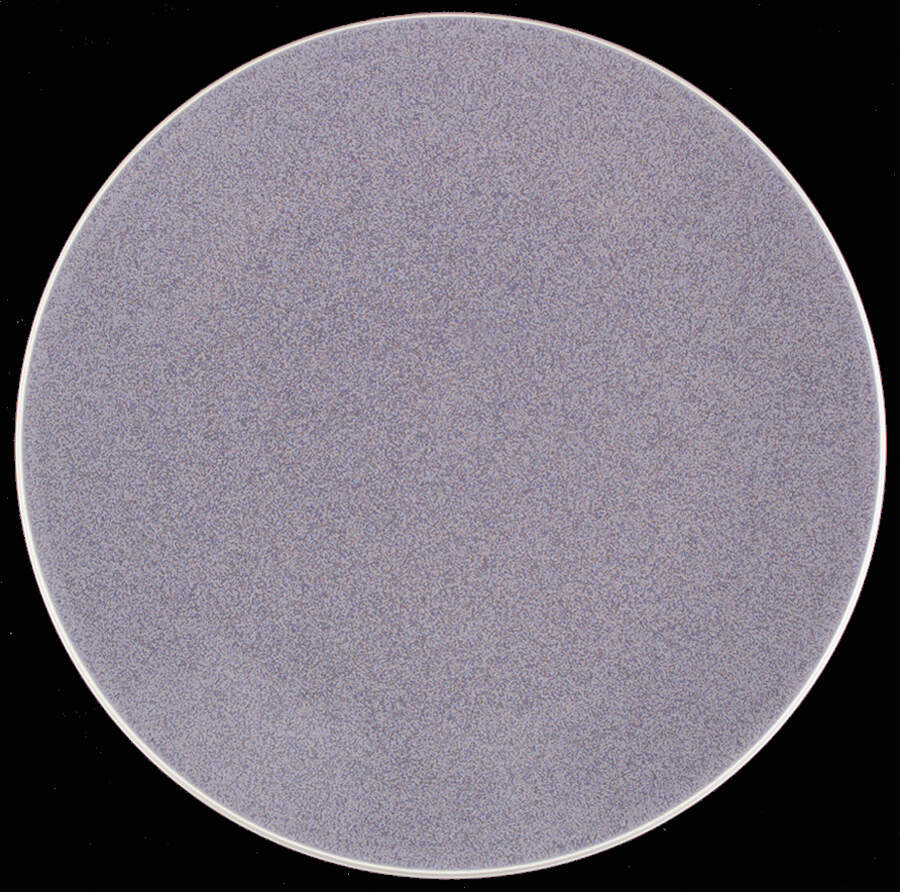 Colorstone Lilac (Textured) Dinner Plate by Sasaki-1