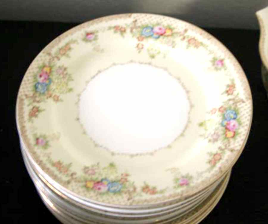 SFU12 Dinner Plate by Shofu (Japan)-1