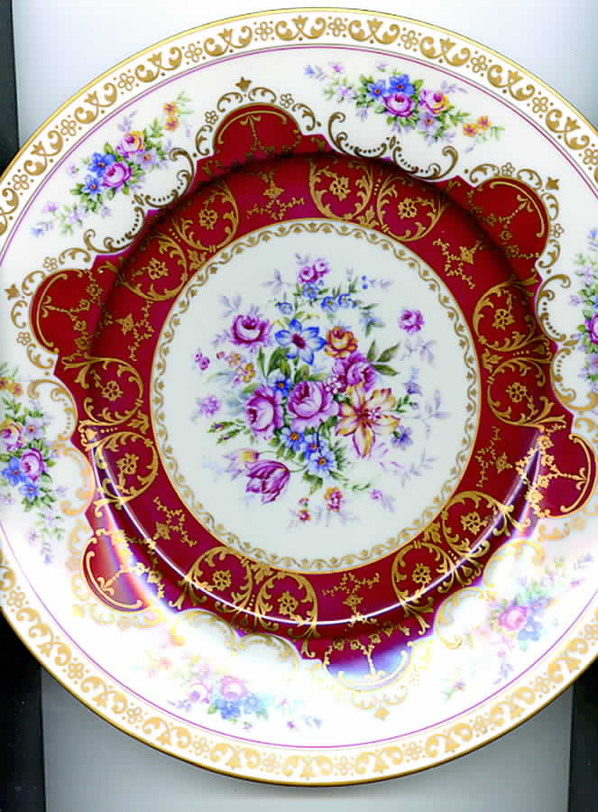 HCZ247 Dinner Plate by Haas-Czjzek Coronado-1
