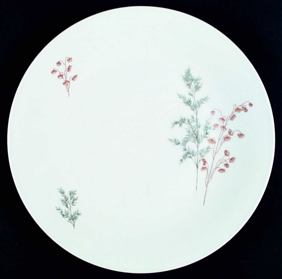 SLT217 Dinner Plate by Seltmann-1