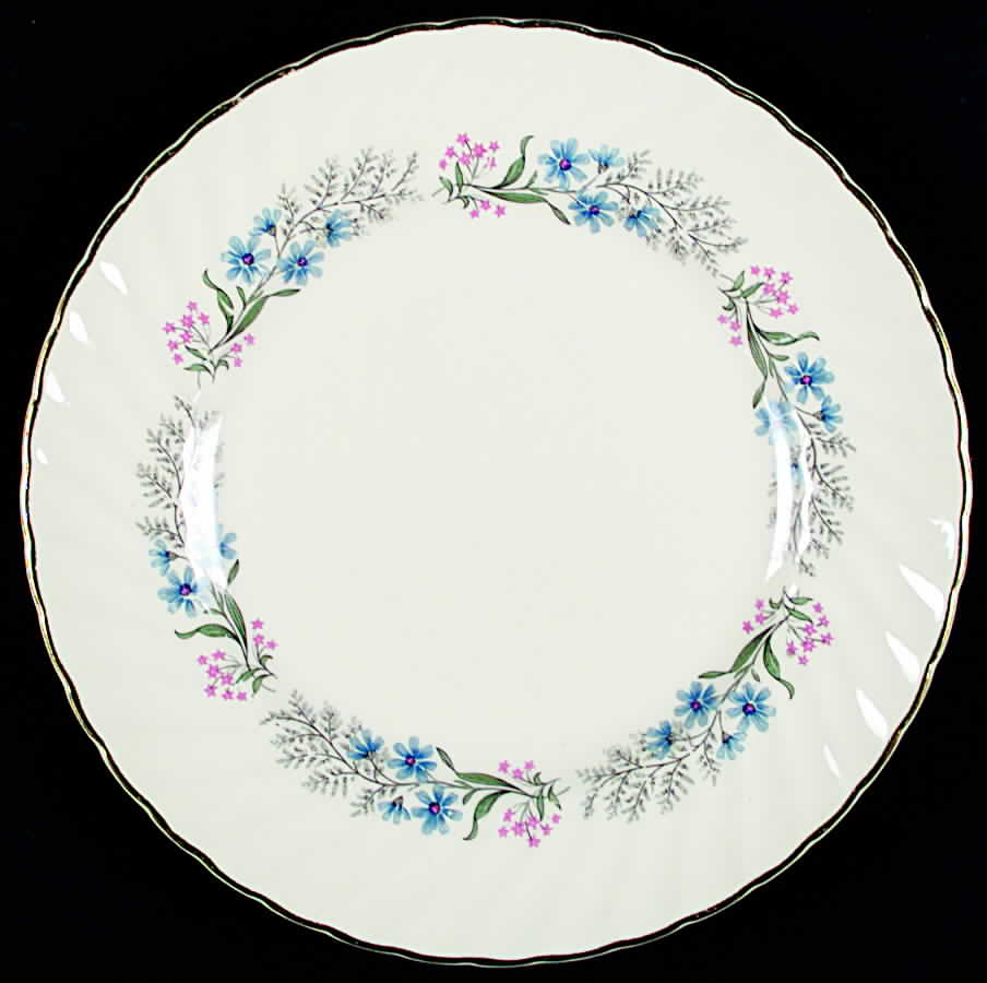 SWI130 Dinner Plate by Swinnertons-1