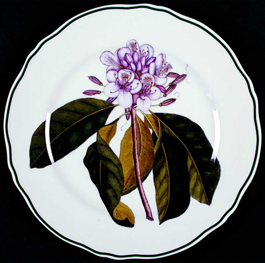 Catesby Dinner Plate by Sadek-1