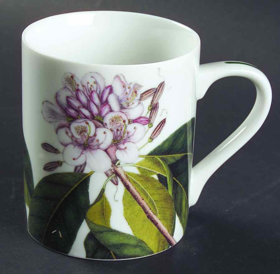 Catesby Mug by Sadek-1