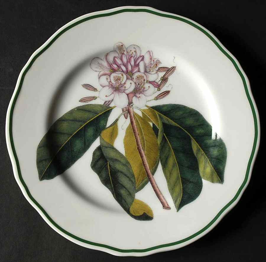 Catesby Salad/Dessert Plate by Sadek-1