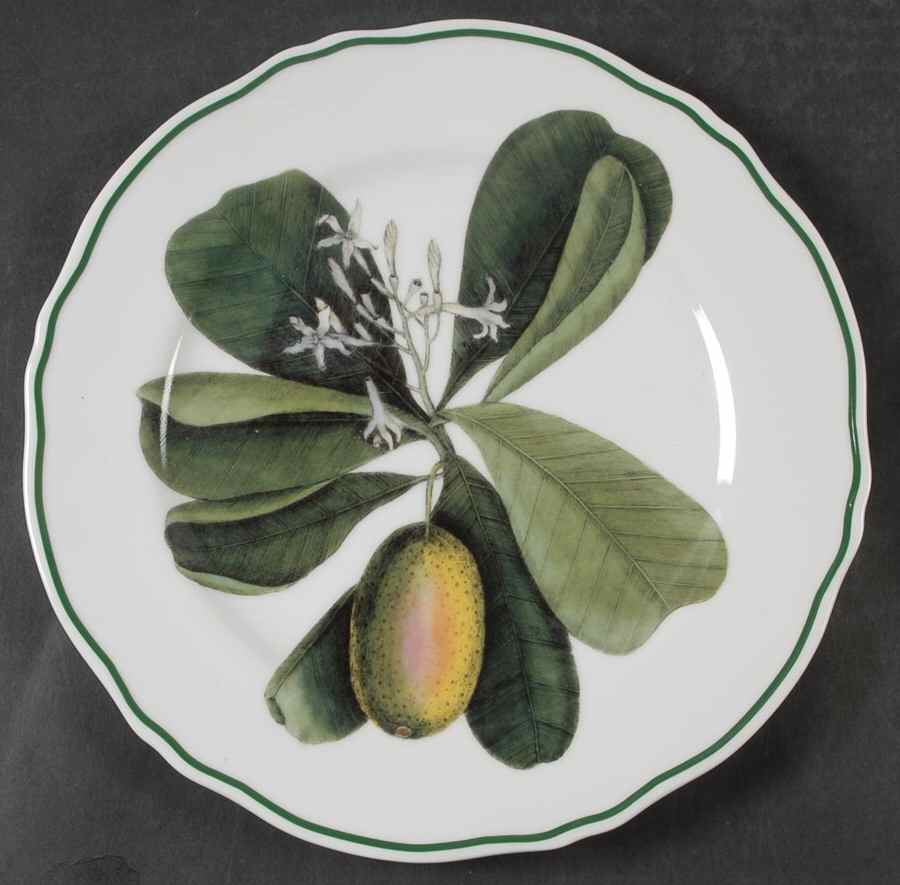 Catesby Dinner Plate by Sadek-1