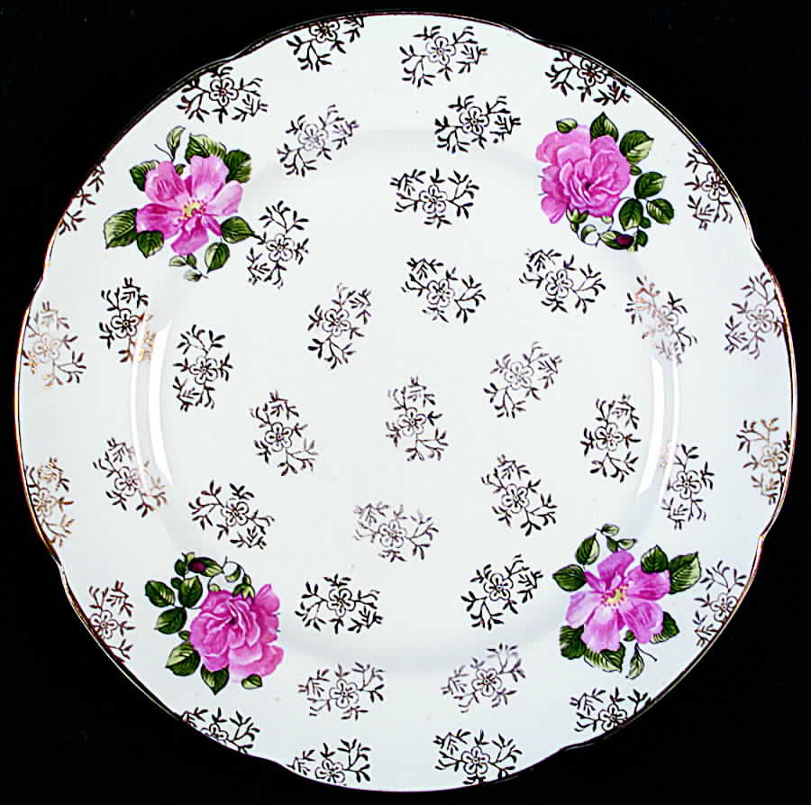 SPE6 Salad Plate by Spencer Stevenson -1