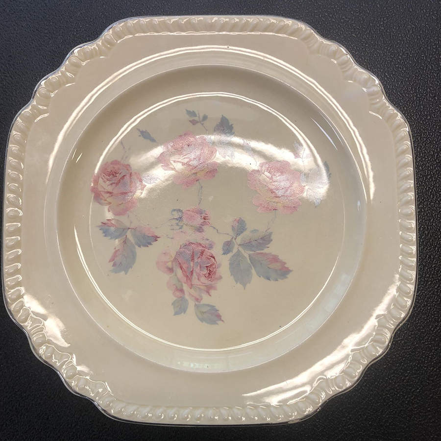 SLM200 Dinner Plate by Salem-1