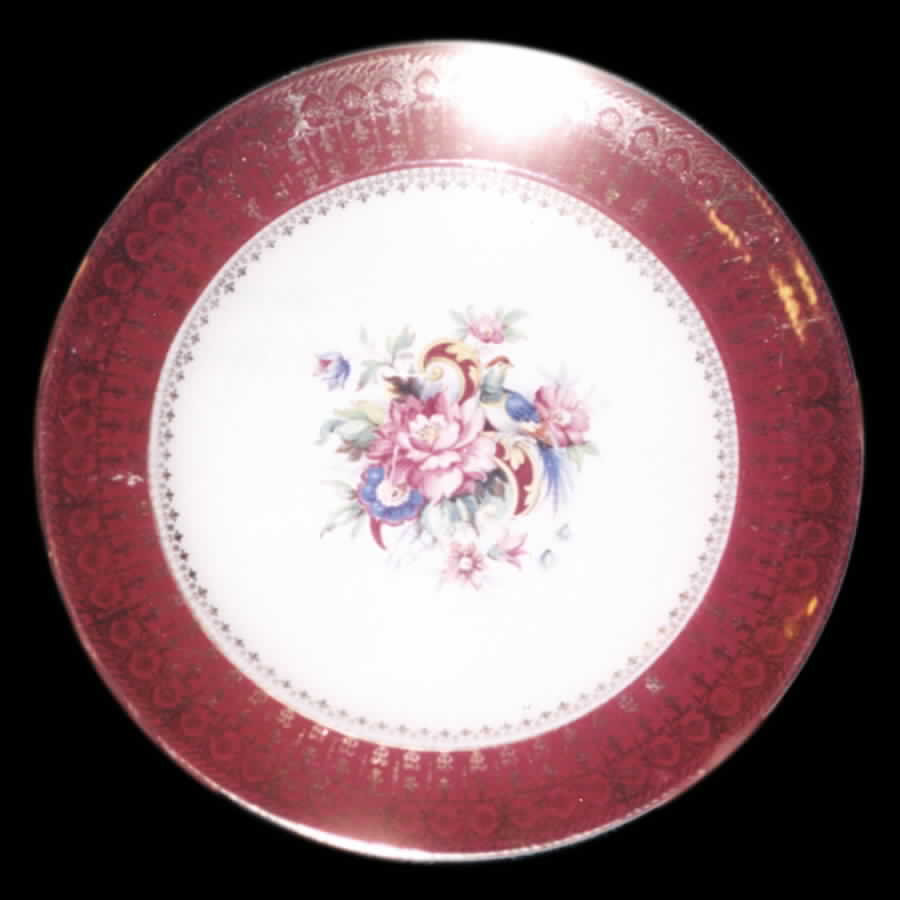 STB219 Dinner Plate by Steubenville-1