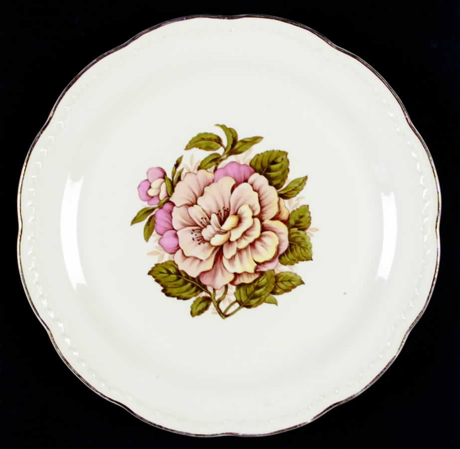 STT206 Dinner Plate by Stetson-1