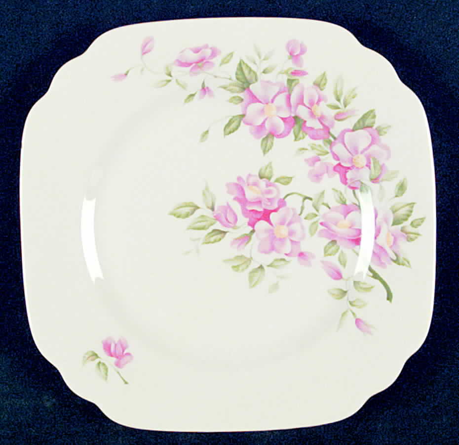 SY476 Square Salad Plate by Syracuse-1