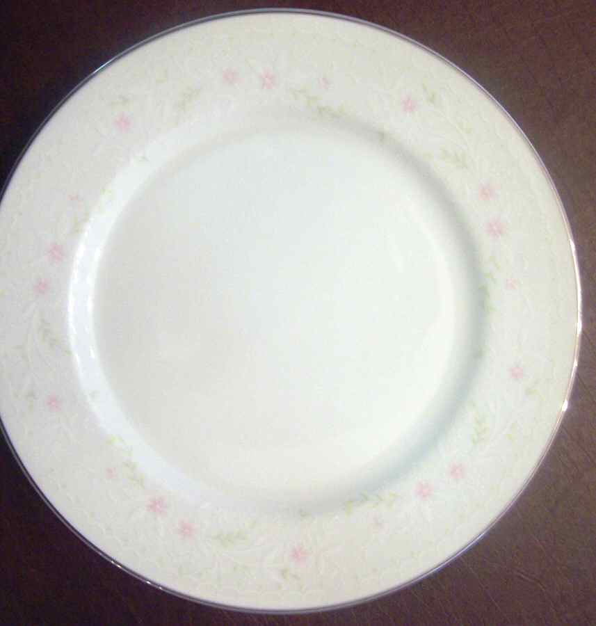 SLM202 Dinner Plate by Salem-1