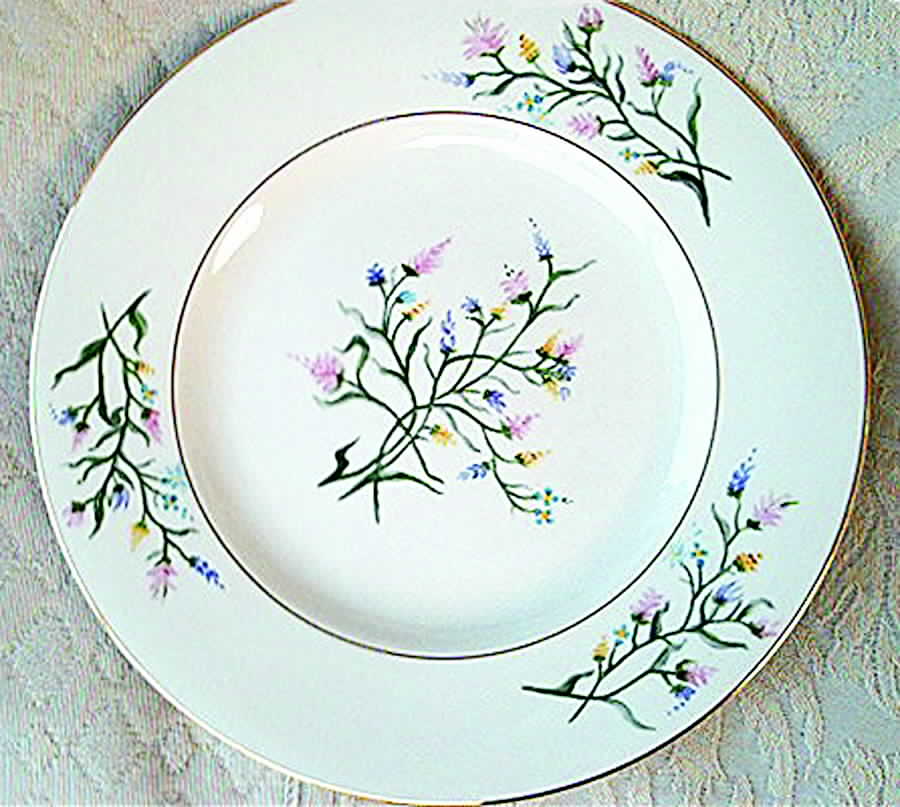 SY544 Dinner Plate by Syracuse-1