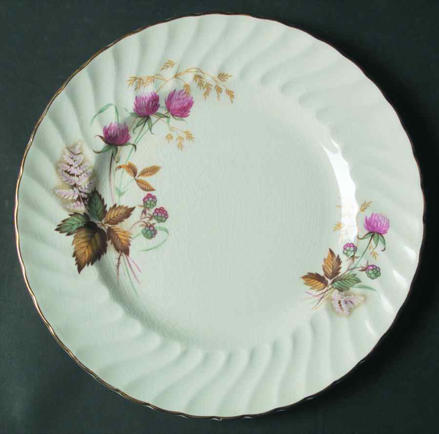 SWI131 Dinner Plate by Swinnertons-1
