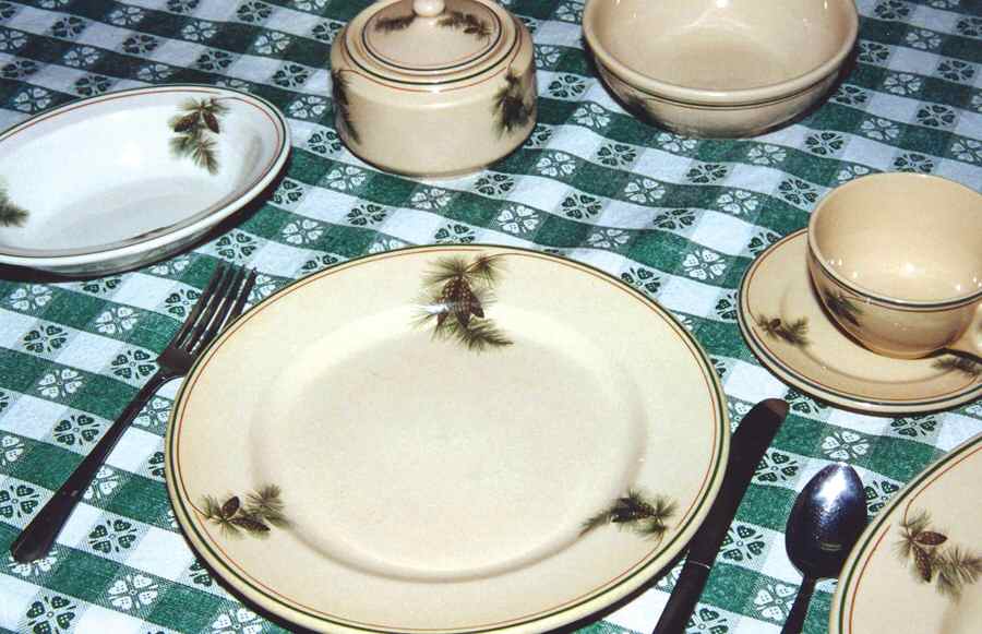 SY545 Dinner Plate by Syracuse-1