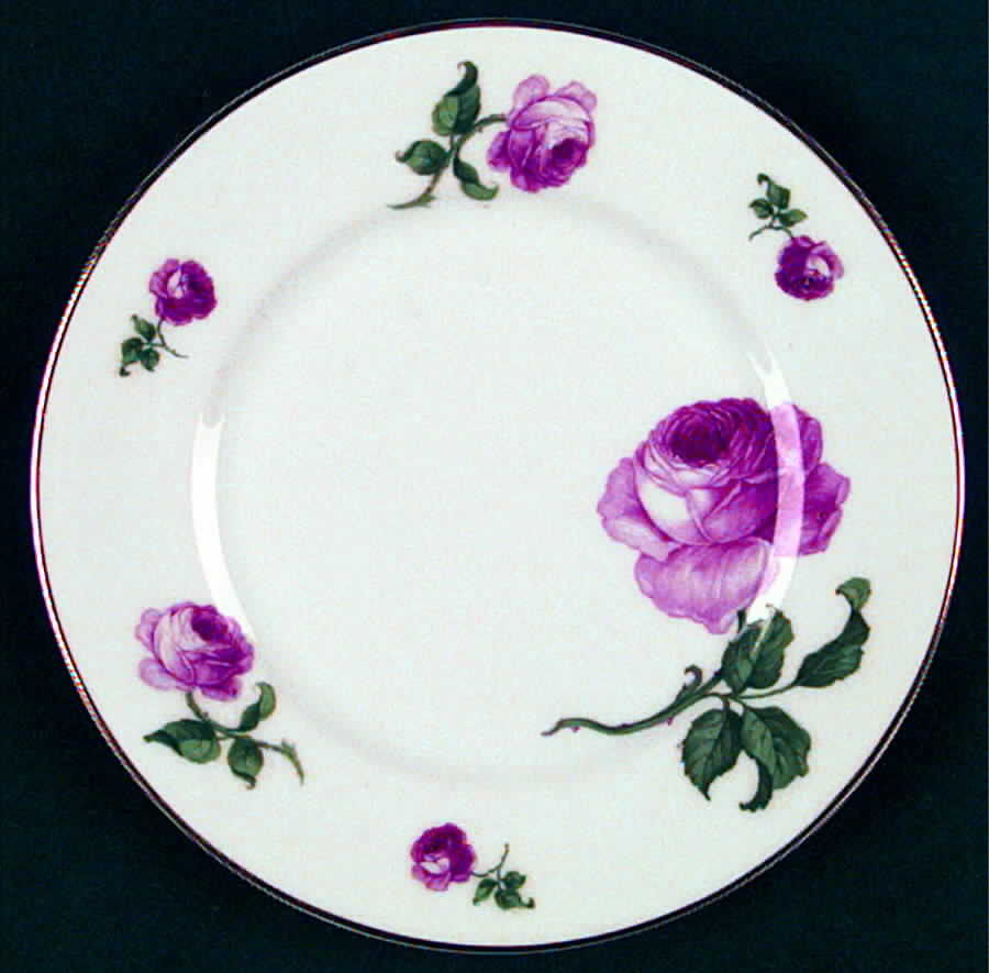 SCD40 Bread & Butter Plate by Schonwald-1