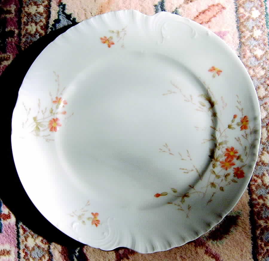 SAZ9 Dinner Plate by L Sazerat-1