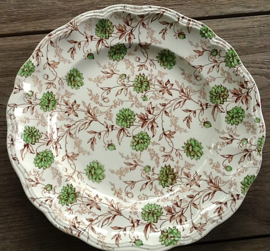 S641 Dinner Plate by Spode-1
