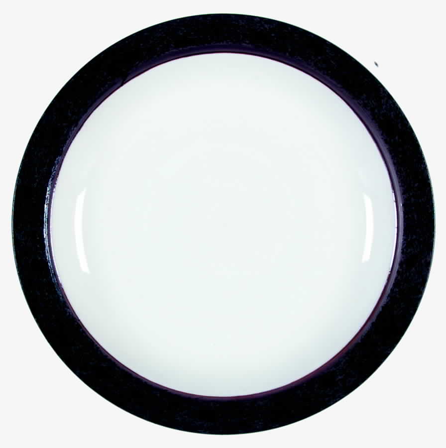 Tuxedo Dinner Plate by Sango-1
