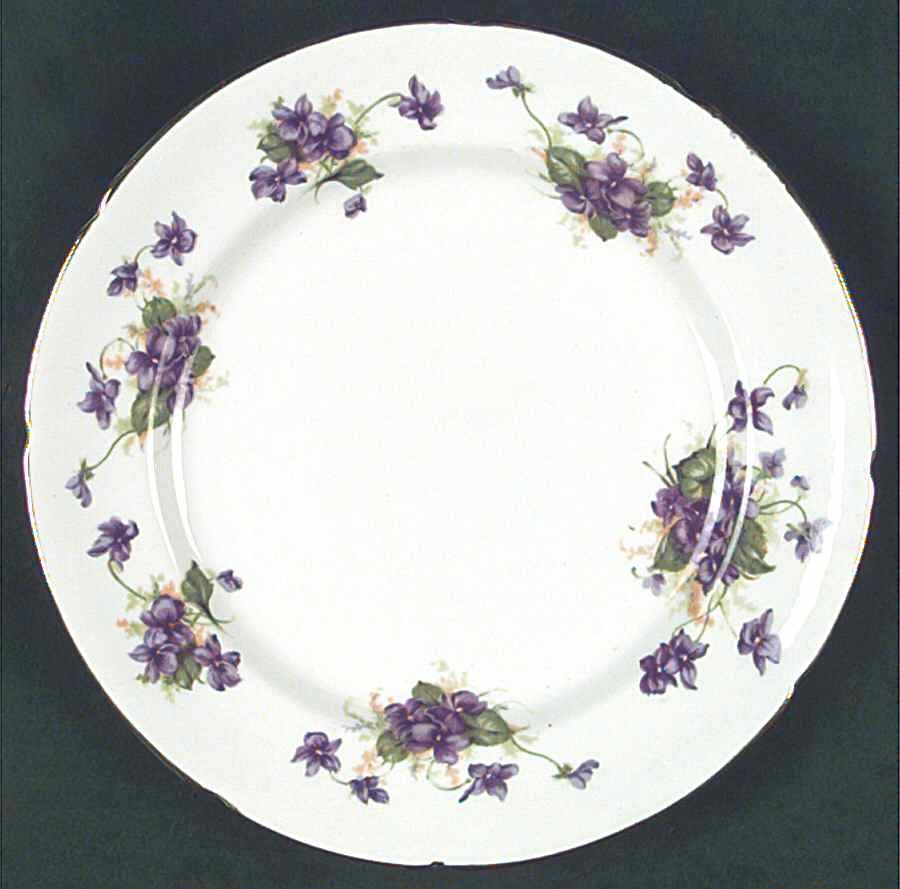 124-13 Dinner Plate by Stanley China (ENG)-1